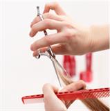 Motif image for Demo Coupe Tendance Wella